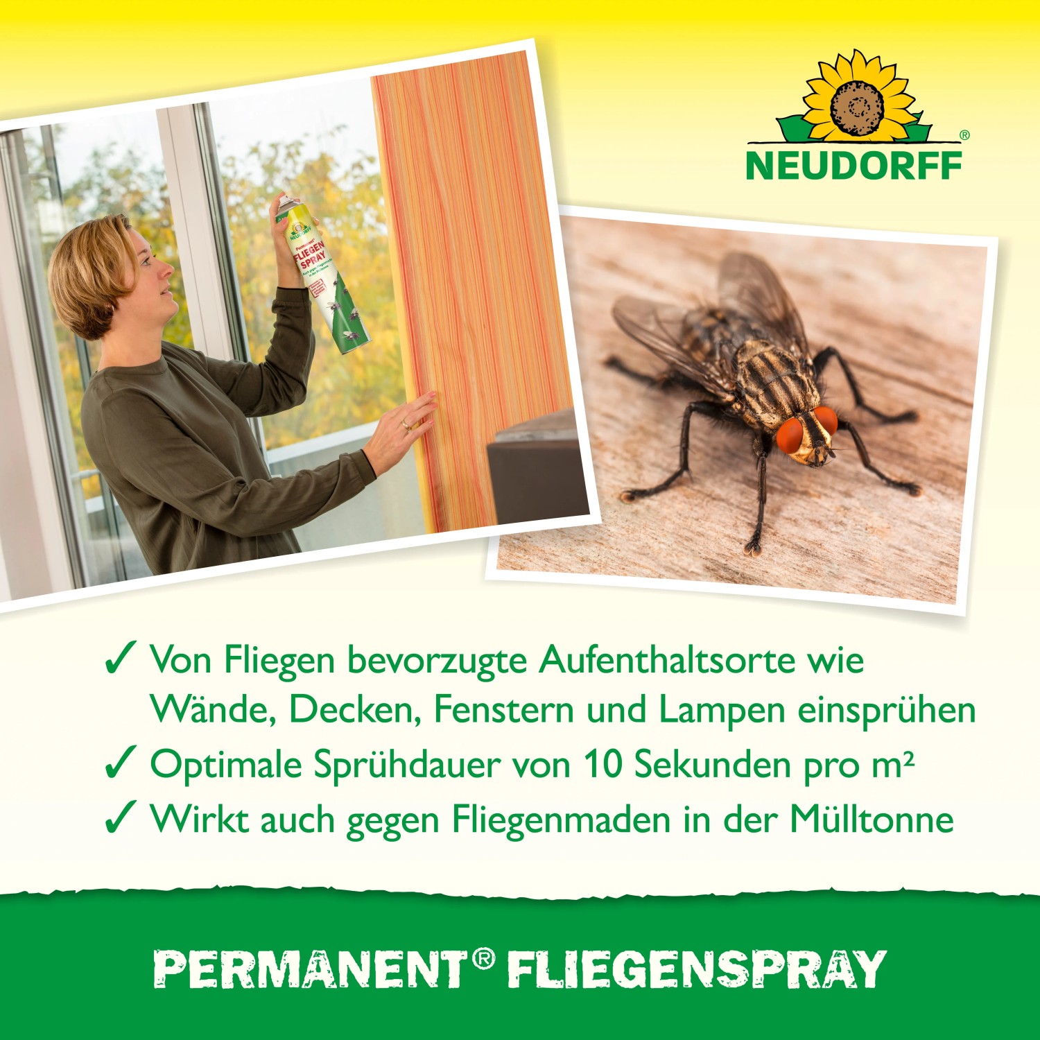 Neudorff Permanent Fliegen-Spray 500ml: Frau sprüht Fliegenspray an eine Wand, Nahaufnahme einer Fliege.