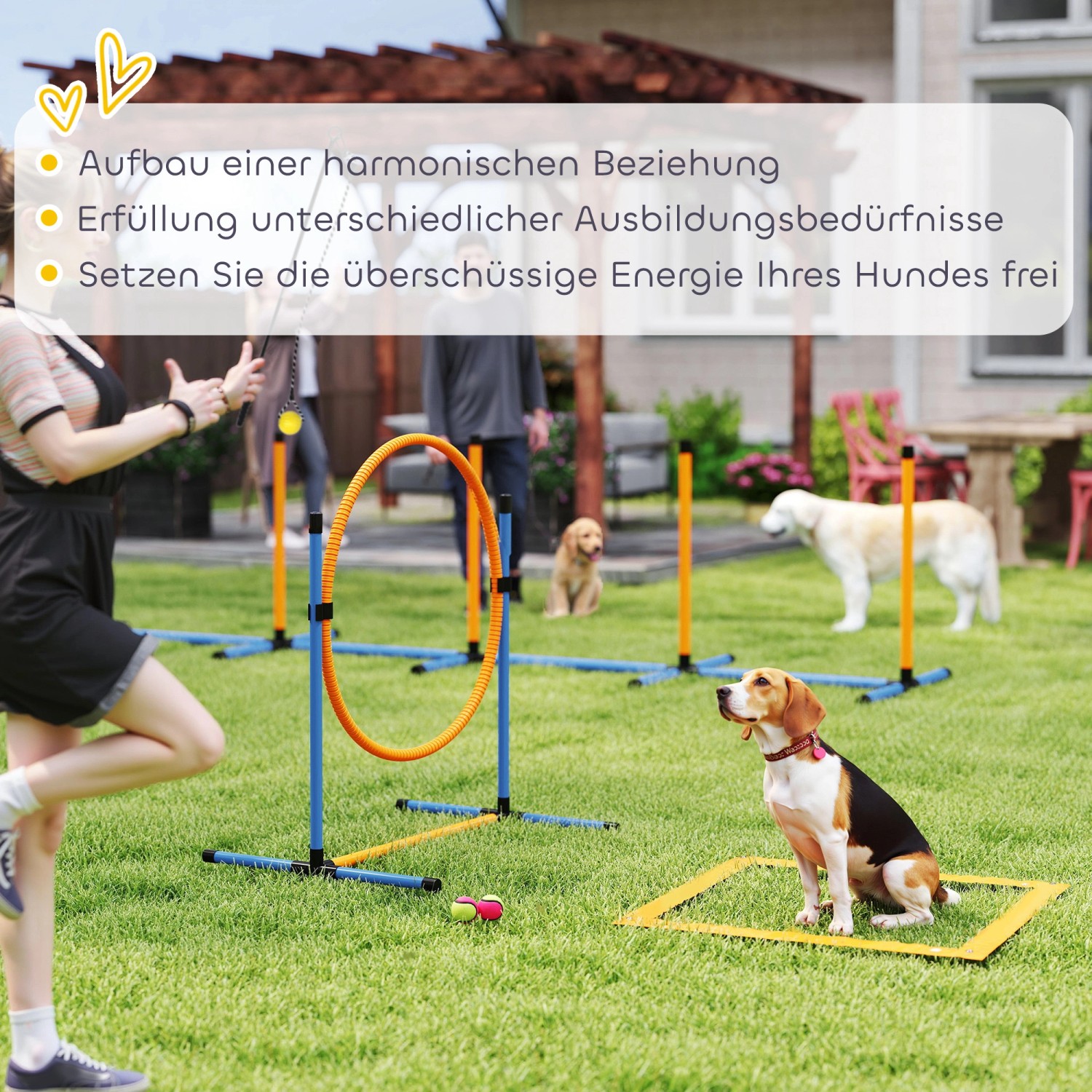 PawHut Hunde Agility Set blau/orange: Sprunghürde, Reifen, Slalomstangen für Hundetraining im Garten.