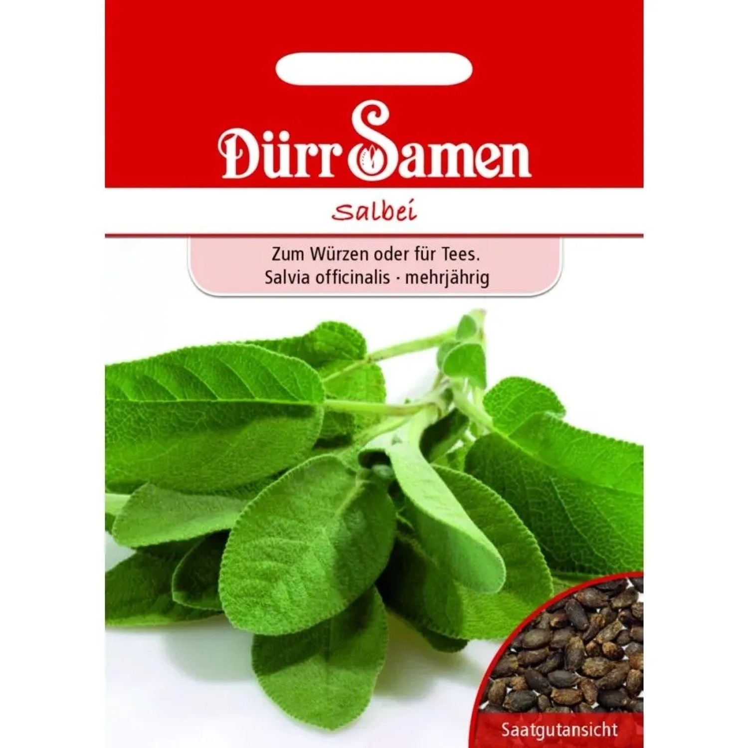 Dürr Samen Salbei Saatgut