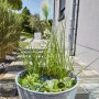 Heissner Solar-Wassergarten Aquatopia mit Pflanzen und Wasser im grauen Pflanzgefäß.