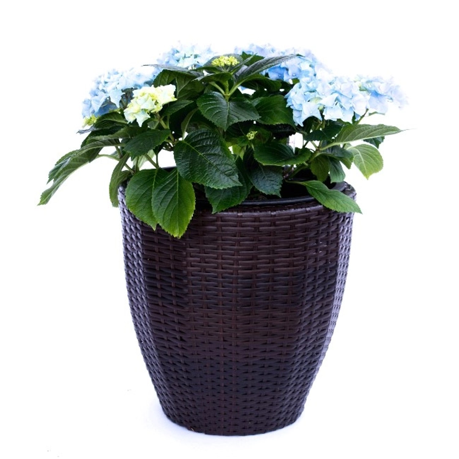 Elegant Einrichten Pflanzkübel Polyrattan Rund-Konisch D46xH46cm Coffee-Bra günstig online kaufen