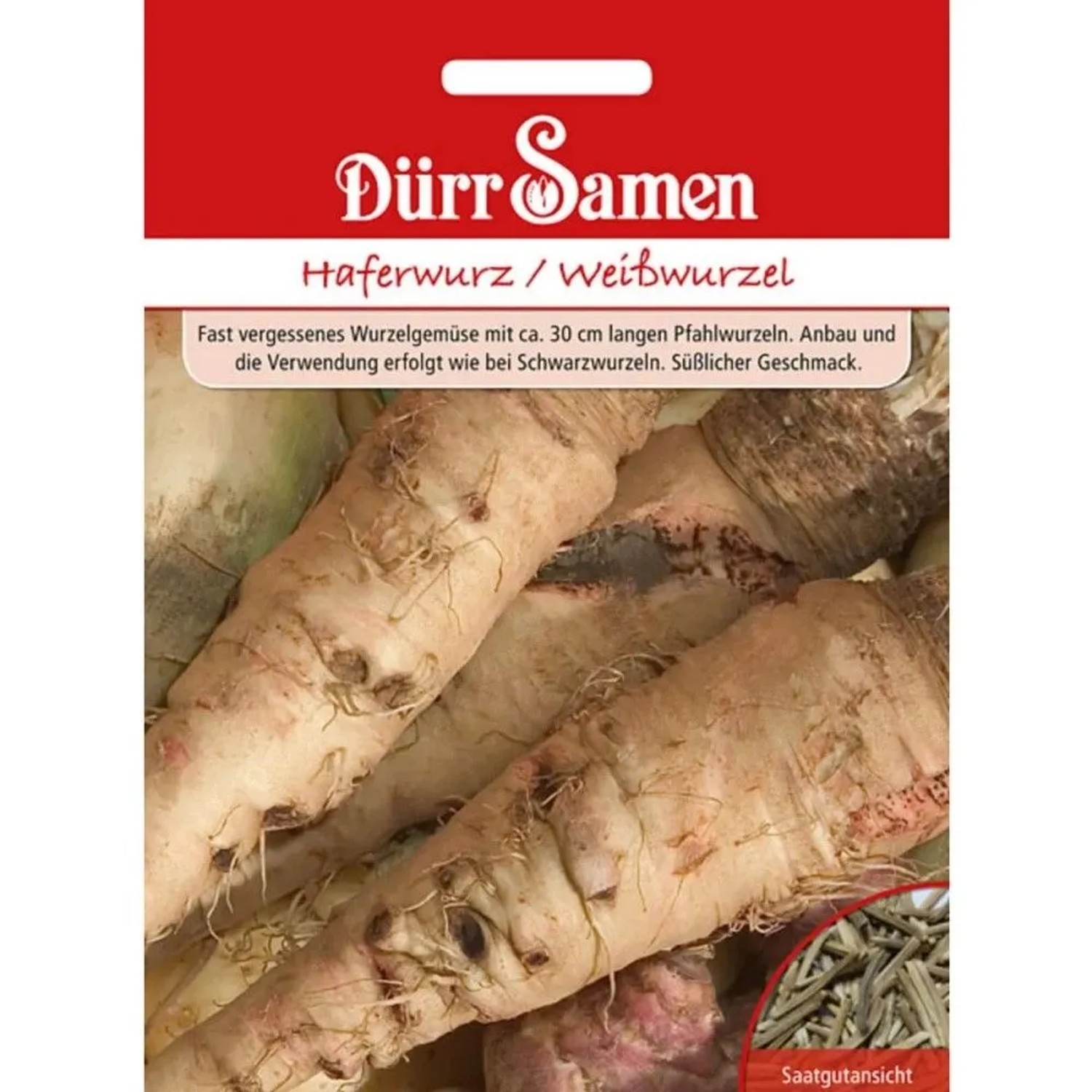 Dürr Samen Haferwurz Weißwurzel Saatgut