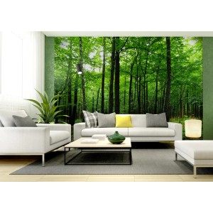 Sanders Fototapete: Bewaldete Landschaft in Grün, 360x270cm. Wald-Motiv für Wohnraum.