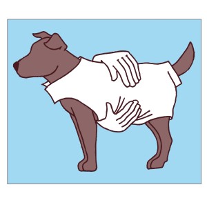 Illustration: Brauner Hund mit hellem Hundepullover Arktis, Größe 25.