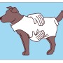 Illustration: Brauner Hund mit hellem Hundepullover Arktis, Größe 25.