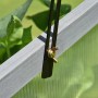 Detailaufnahme: Flügelmutter am grauen Outsunny Gewächshaus aus Tannenholz und Polycarbonat.