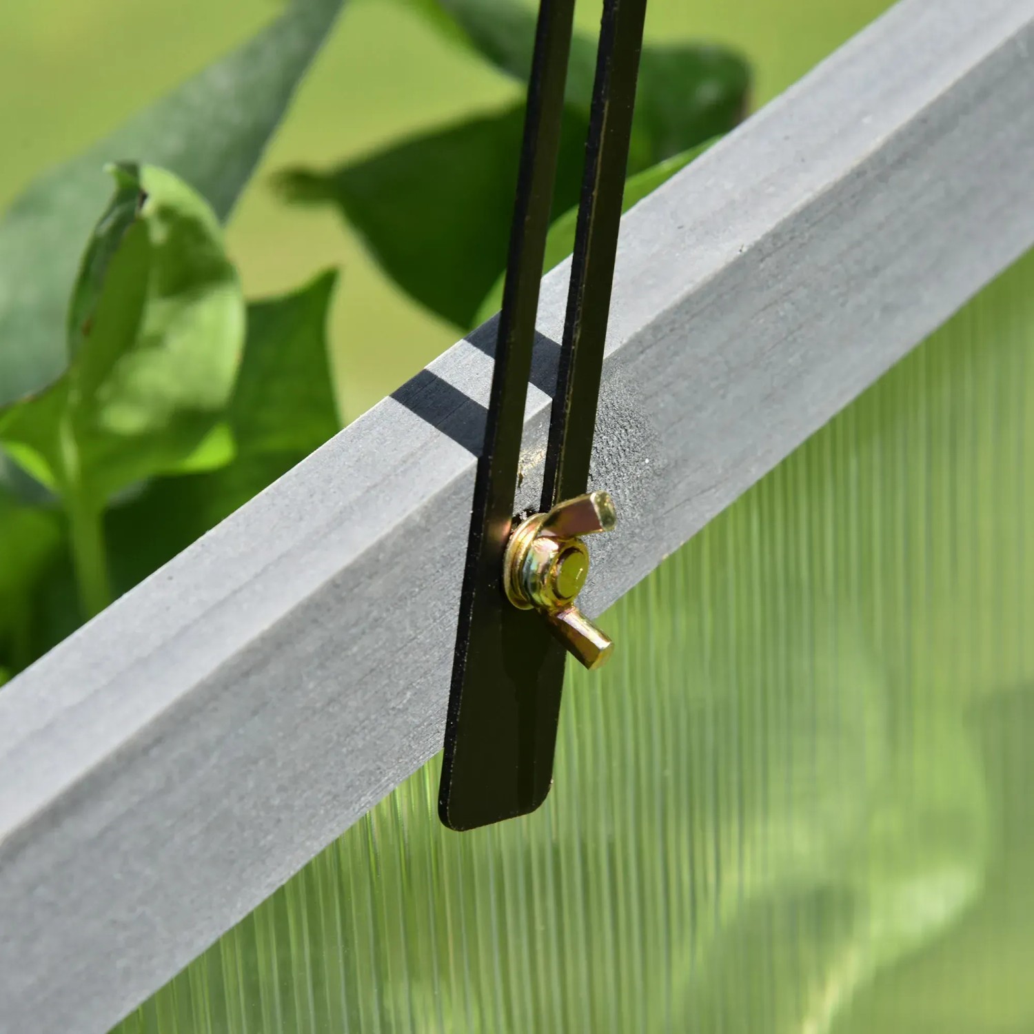 Detailaufnahme: Flügelmutter am grauen Outsunny Gewächshaus aus Tannenholz und Polycarbonat.