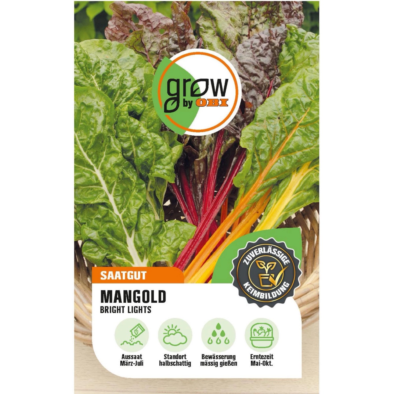 GROW by OBI Mangold Bright Lights Beta vulgaris
