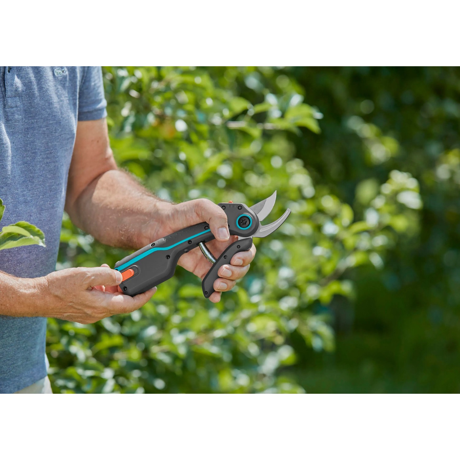 Gardena Assistcut Akku Gartenschere in Aktion, für müheloses Schneiden von Ästen im Garten.