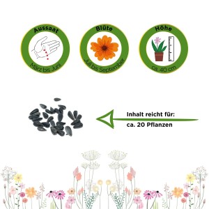 Zwergsonnenblume Sunspot Samen: Infos zu Aussaat, Blütezeit und Höhe der Sonnenblumen.