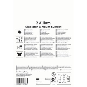 Kiepenkerl Blumenzwiebel Allium Mix Blue & White, 2 Stück. Zierlauch für Beet und Vase.