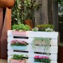 Europalette mit Geli Pflanzgefäßen in Zartrosa und Türkis, bepflanzt mit Blumen und Kräutern.