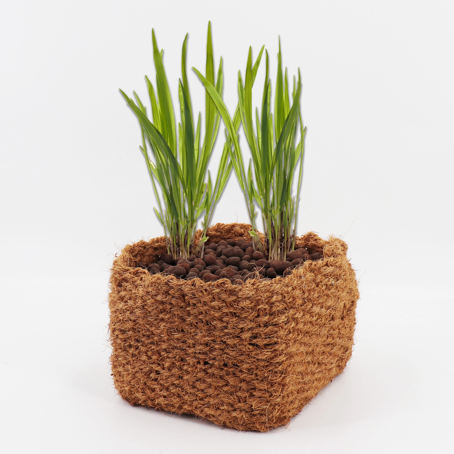 Aquagart 2 Kokos Pflanzkorb 25 x 25 x 20cm Teichkorb für Ufermatte