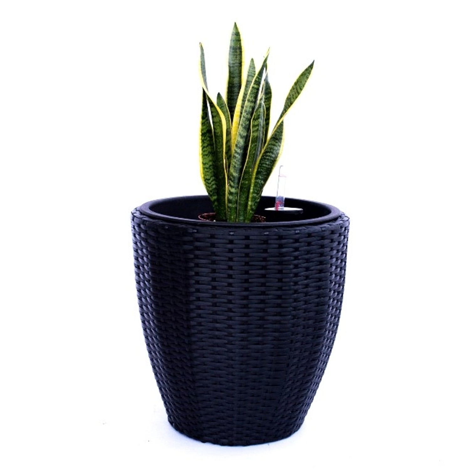 Elegant Einrichten Pflanzkübel Polyrattan Rund-Konisch D37xH37cm Schwarz günstig online kaufen