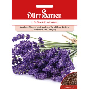 Dürr Samen Lavendel Verani: Saatgut-Packung mit blühendem Lavendel, ideal für Kräutergärten.