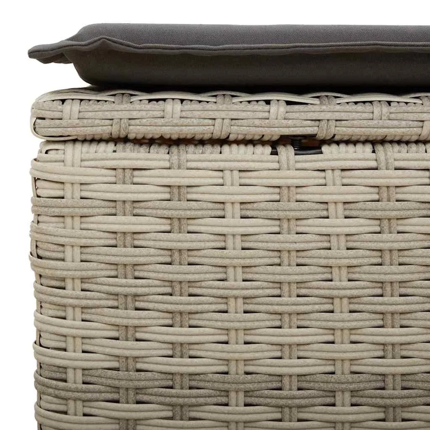 Detailaufnahme: Hellgraue vidaXL Garten-Sofagarnitur aus Polyrattan mit dunkelgrauem Kissen.