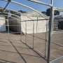 Garten Dream Gewächshaus Avalon 3x8m mit 6mm Polycarbonat_3
