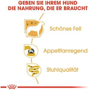 Royal Canin Yorkshire Terrier Adult Nassfutter: Illustration zu Fell, Appetit und Stuhlqualität.
