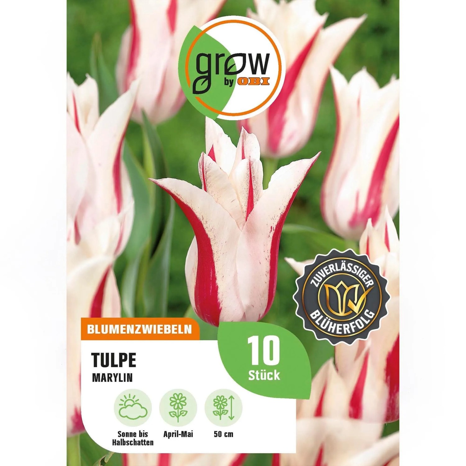 GROW by OBI Tulpe Marylin Rosa-Weiß 8 Stück Tulipa,ily flowering Marylin