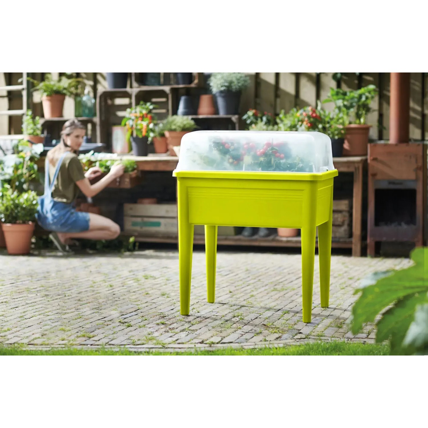 Limegrüner Elho Anzuchttisch Green Basics (73,3x75,7 cm) mit transparentem Deckel im Garten.