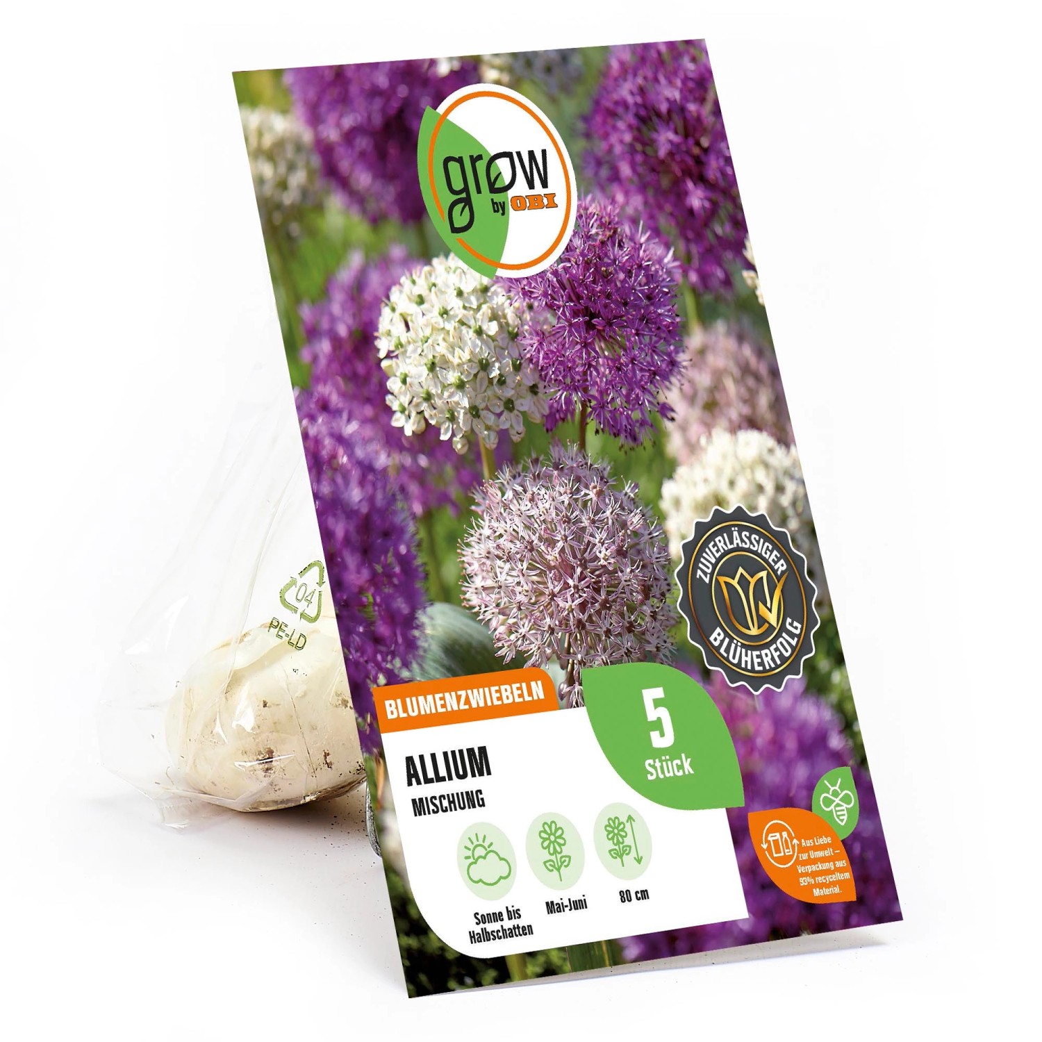 GROW by OBI Zierlauch Mischung 80 cm Allium