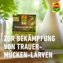 Compo Trauermücken-frei, 5ml: Mittel gegen Trauermücken-Larven in praktischer Portionsflasche.