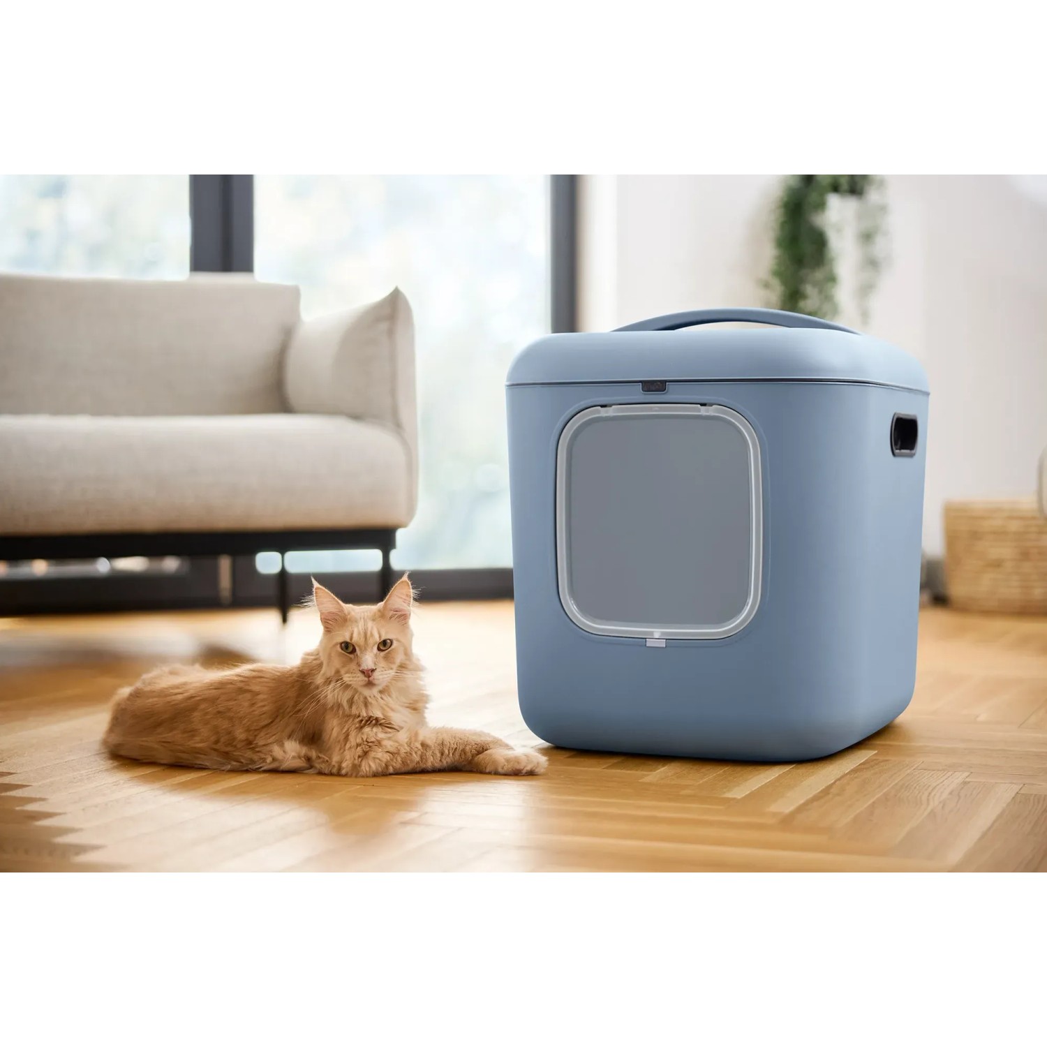 Rotho Katzentoilette Biala XL in Horizotblau mit Katze im Wohnraum.