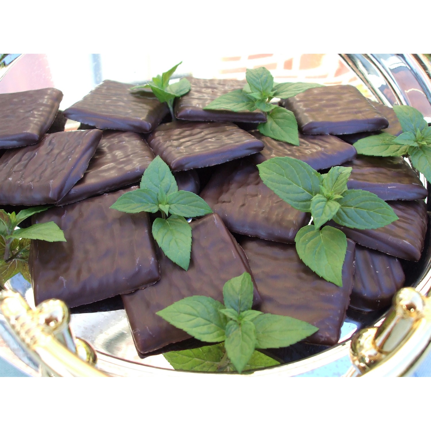 Blu BioSchokoladenMinze TopfØ ca. 12 cm Mentha kaufen bei OBI