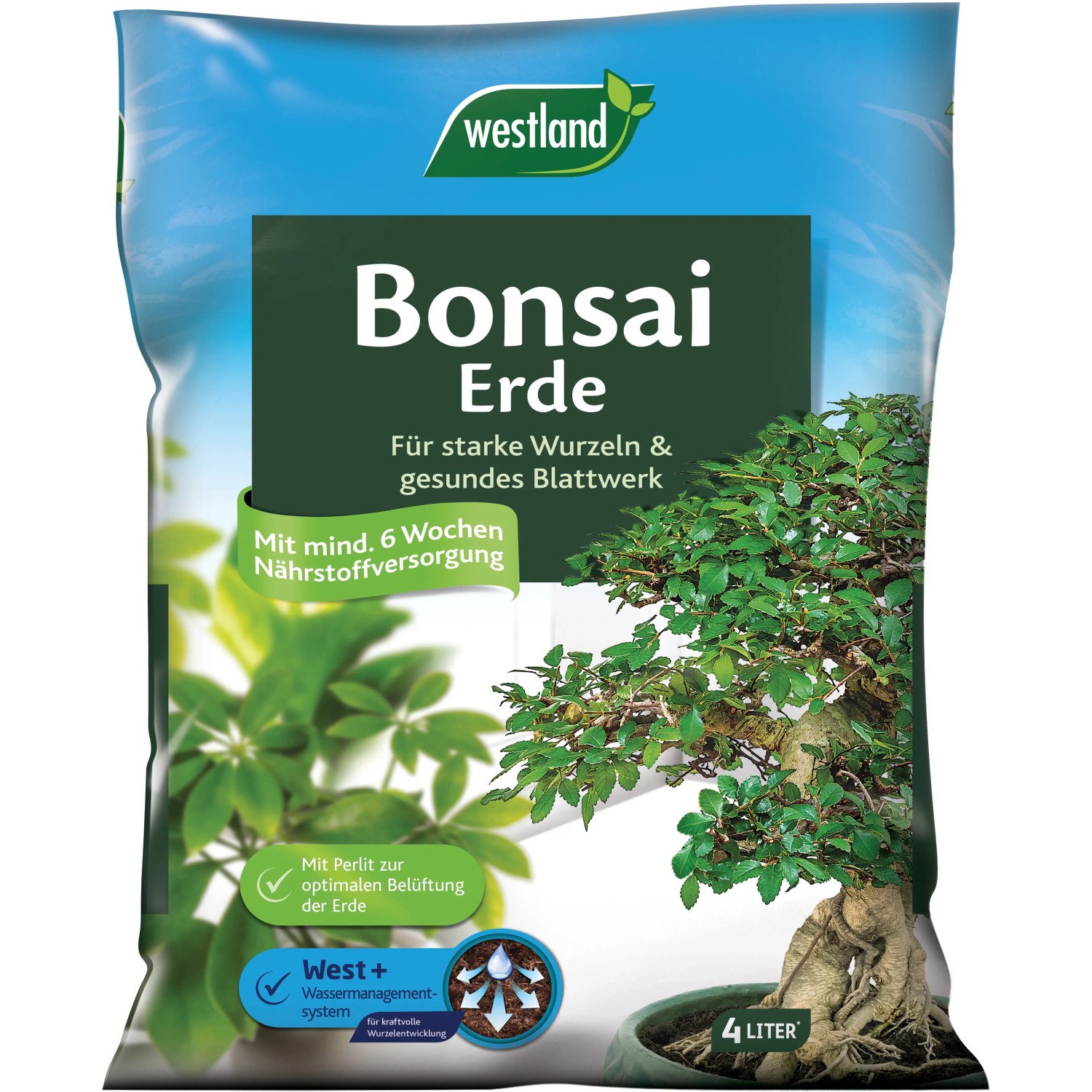 Bonsaierde kaufen bei OBI