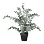 Modern Living Kunstpflanze Eucalypthus II Grau/Grün ca. 53cm