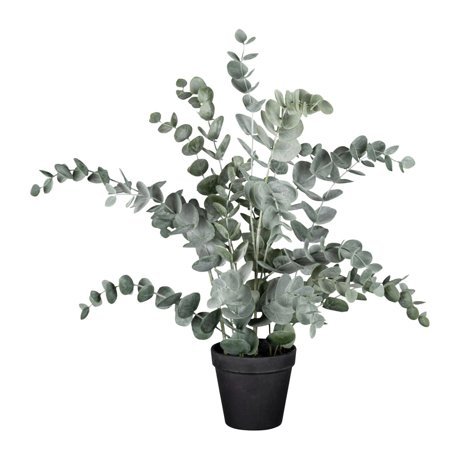 Modern Living Kunstpflanze Eucalypthus II Grau/Grün ca. 53cm