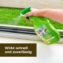 Anwendung: Protect Home Natria Ameisen- und Ungeziefer Stopp N Spray gegen Ungeziefer.