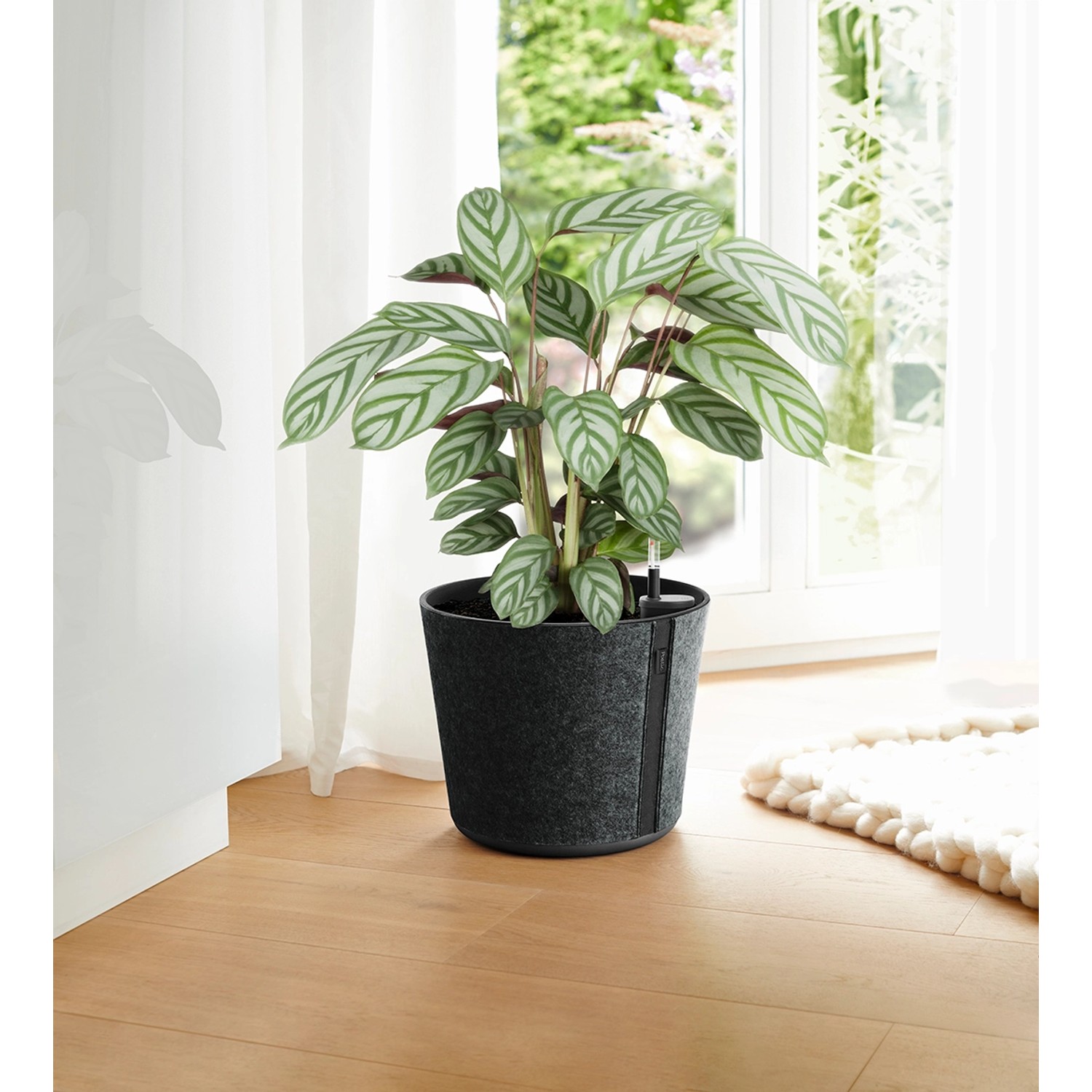 Potic Blumentopf mit Bewsserungssystem  26 cm x 22 cm Anthrazit kaufen  bei OBI