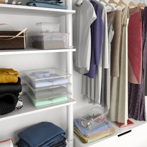 Transparente Aufbewahrungsbox C Flat mit Deckel im Kleiderschrank, zur Aufbewahrung von Kleidung.