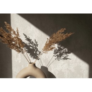 Marburg Vliestapete in Betonoptik mit Glanzeffekt und Vase mit Trockenblumen vor Wand.