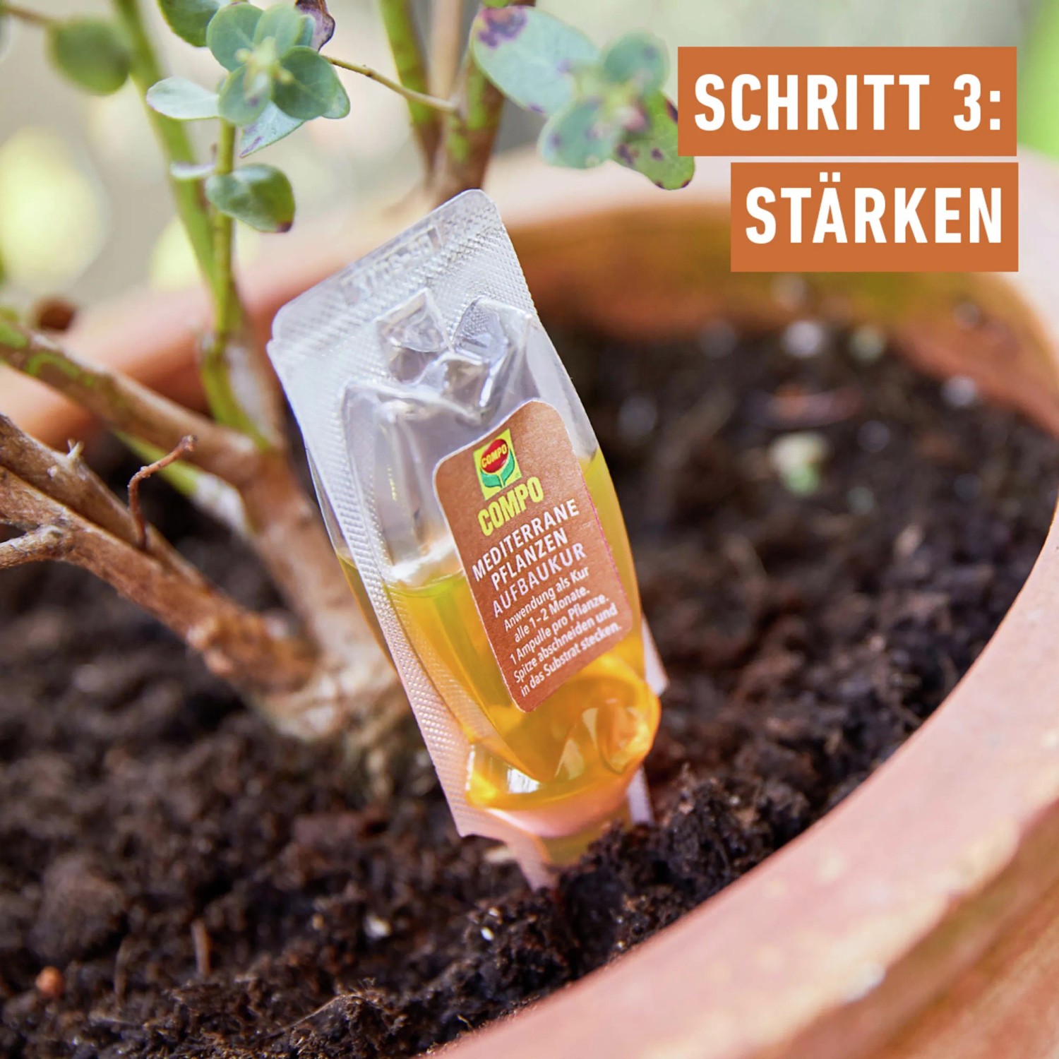 Compo Mediterrane Pflanzen Aufbaukur 30ml im Blumentopf, Schritt 3: Stärken.