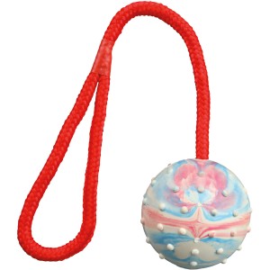 Jollypaw Ball am Seil, Naturgummi, Ø 6cm, 30cm, Apportierspielzeug für Hunde.