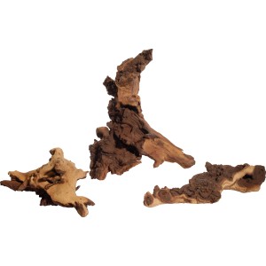 Mopani Zierholz, Medium, für Aquarien und Terrarien, drei Wurzeln in verschiedenen Formen.