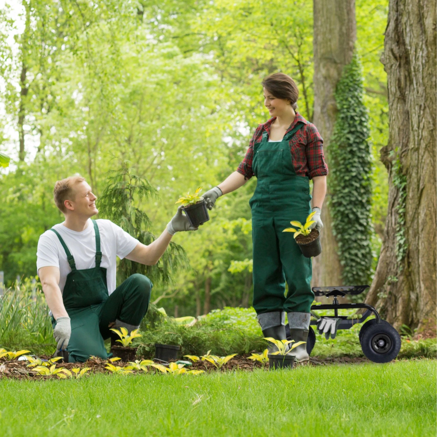 Gartenarbeit mit Relaxdays Rollsitz: Höhenverstellbarer, fahrbarer Hocker für bequemes Arbeiten.