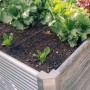 Geka Tropfrohr im Einsatz: Bewässerung von Salat im Hochbeet mit Micro-Drip-System.