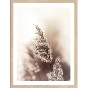 Pro Art Bild Framed Art Dried Fiber, 40x30 cm, mit filigranem Trockenblumen-Motiv im Holzrahmen.