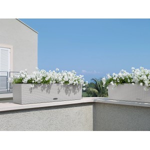 Lechuza Balconera Cottage 80, lichtgrauer Blumenkasten mit Bewässerungssystem und weißen Blumen.