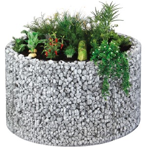Rundes Bellissa Gabionen-Hochbeet (Ø 146 cm) befüllt mit Steinen und bepflanzt mit Gemüse und Kräutern.