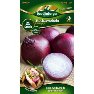 Quedlinburger Steckzwiebel Rot Früh 'Pinotage', rote Speisezwiebeln im Detail.
