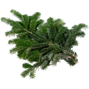 Bund Nordmanntannenzweige (500-600g) für Adventsdeko, Kränze und als Frostschutz.