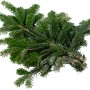 Bund Nordmanntannenzweige (500-600g) für Adventsdeko, Kränze und als Frostschutz.