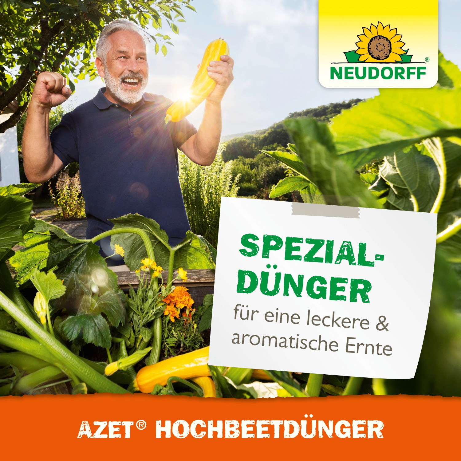 Mann freut sich über Zucchini-Ernte im Hochbeet, gedüngt mit Neudorff Azet Hochbeetdünger.