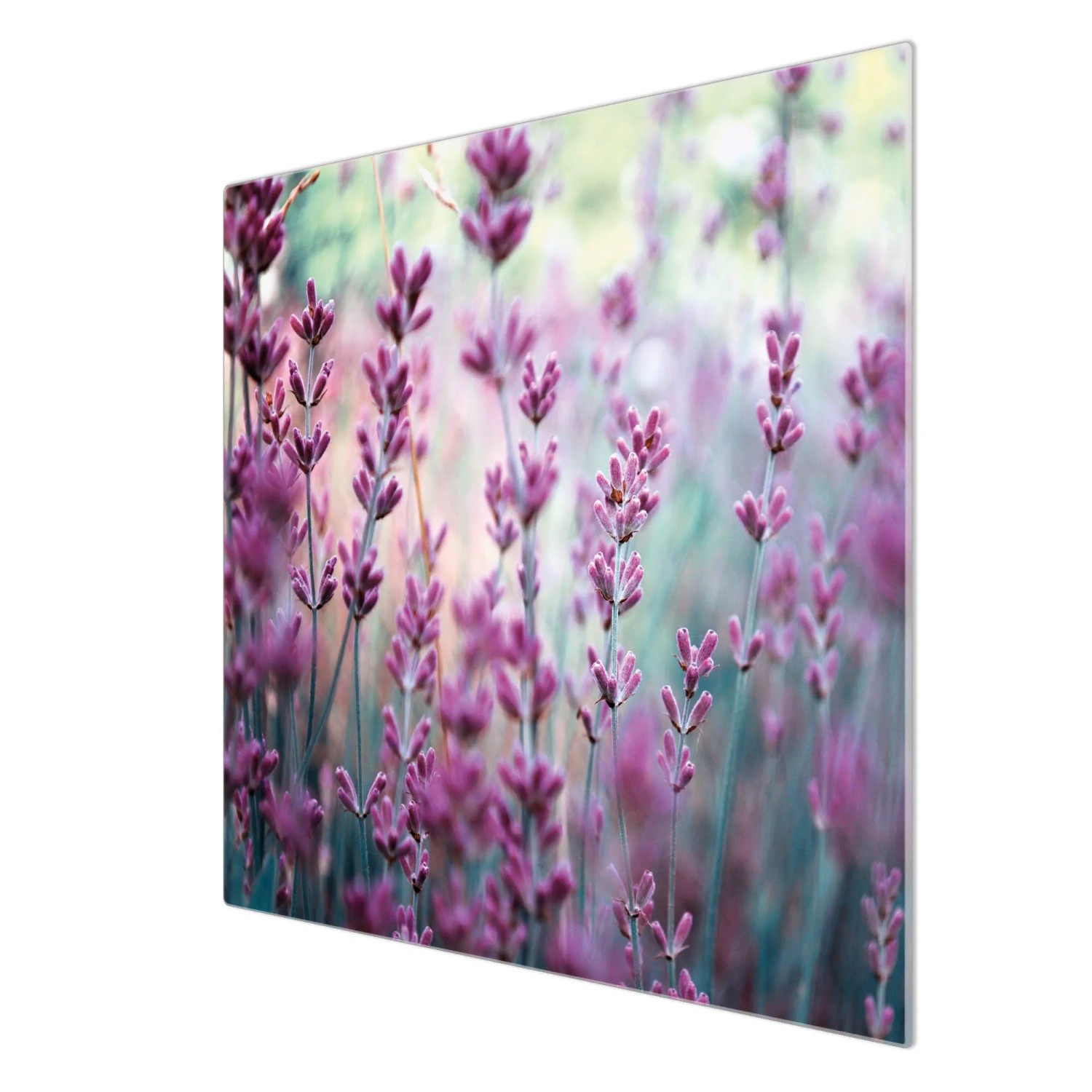 Banjado Herdabdeckplatte aus Glas mit Lavendel Motiv, 60x52cm.