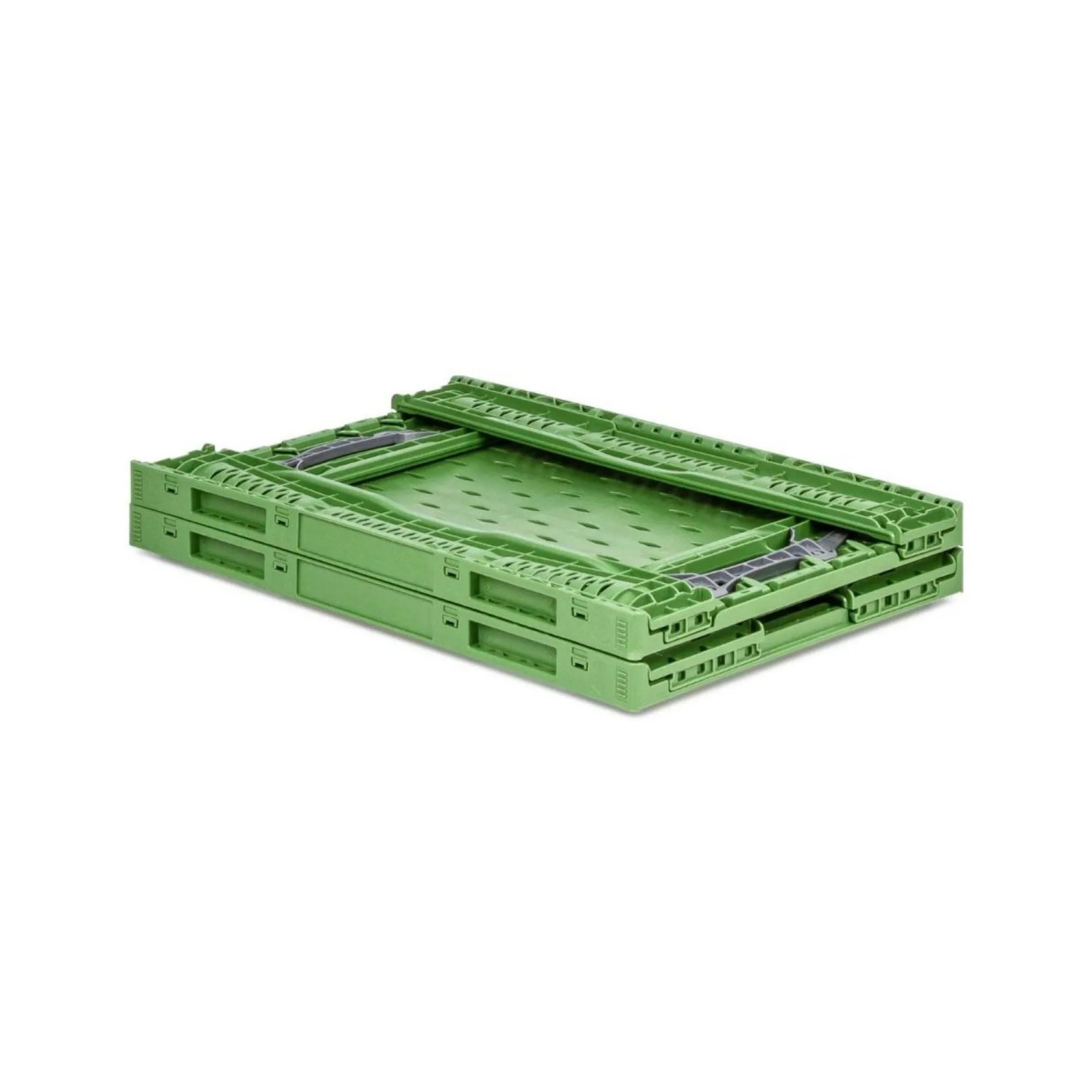 Zusammengeklappte, grüne PROREGAL Klappbox Chameleon, 35 Liter, für Industrie und Gewerbe.