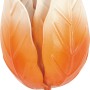 Gartenstecker Tulpe, orange-beige-weiß, 9x45,5cm, aus Metall für Beet und Kübel.